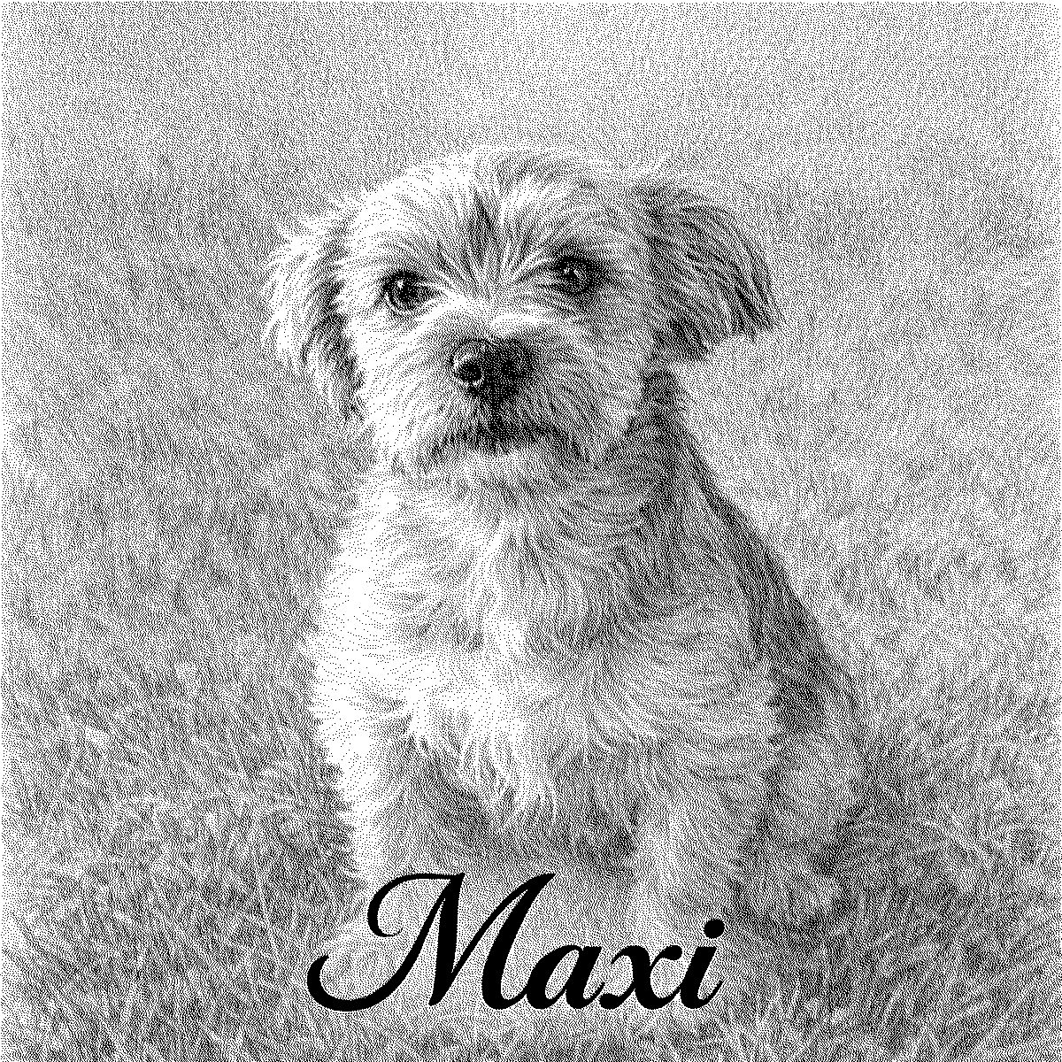 Maxi engraved tile