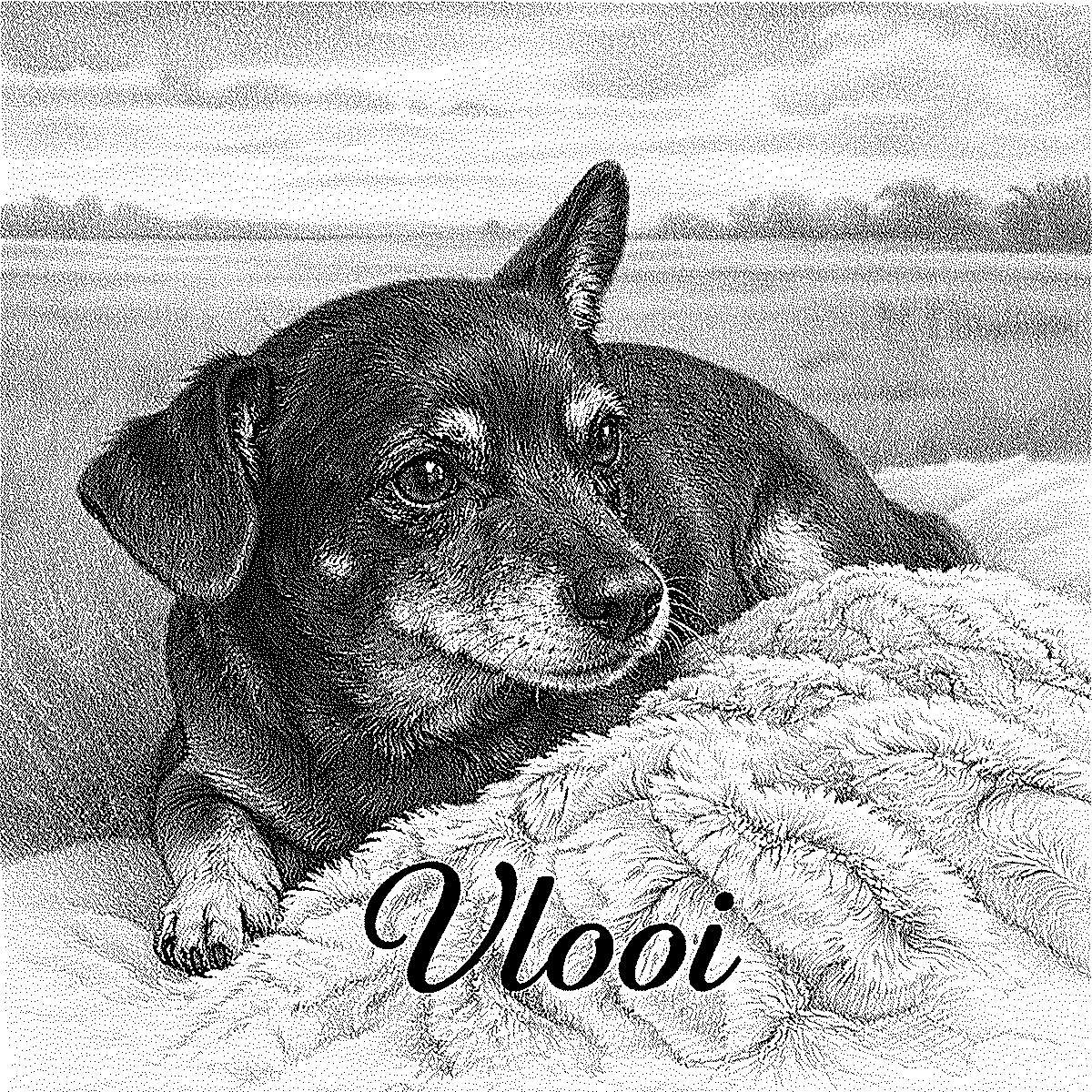 Vlooi engraved tile